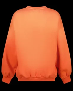 DAMES RAIZZED Hoodies En Truien<Sweater Riley