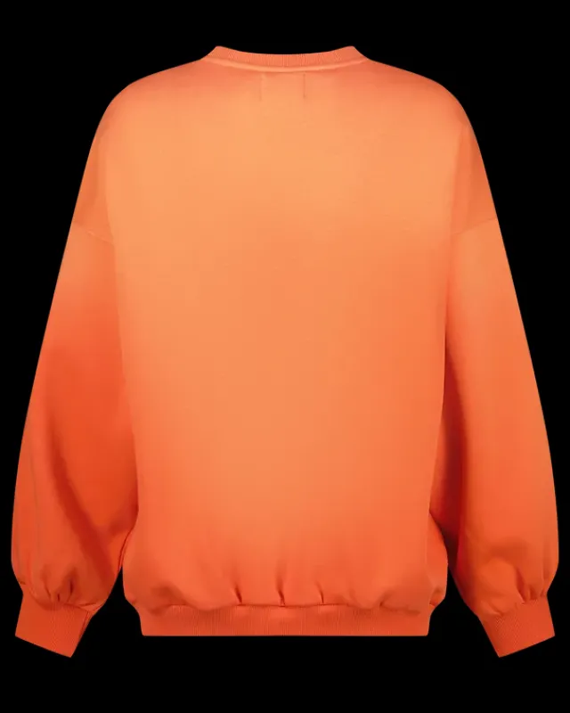 DAMES RAIZZED Hoodies En Truien<Sweater Riley