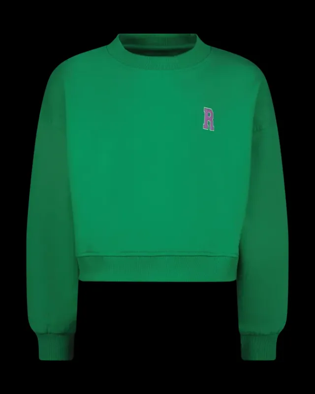 RAIZZED Hoodies En Truien<Sweater Ruba