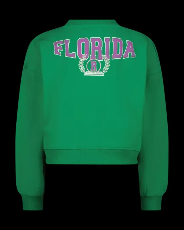 RAIZZED Hoodies En Truien<Sweater Ruba