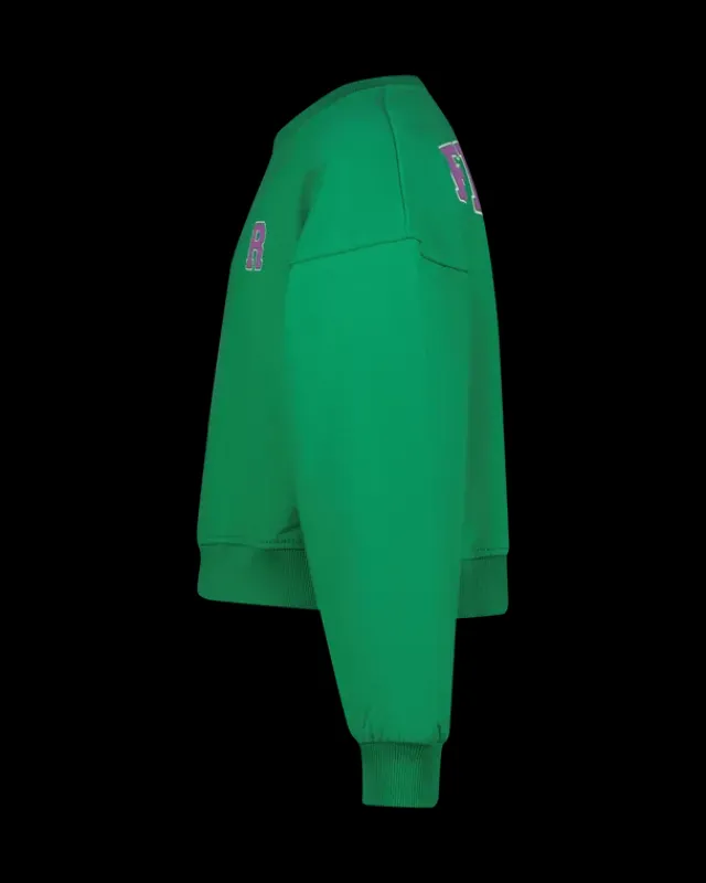 RAIZZED Hoodies En Truien<Sweater Ruba