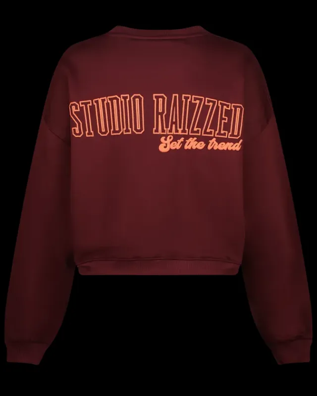 DAMES RAIZZED Hoodies En Truien<Sweater Rubie
