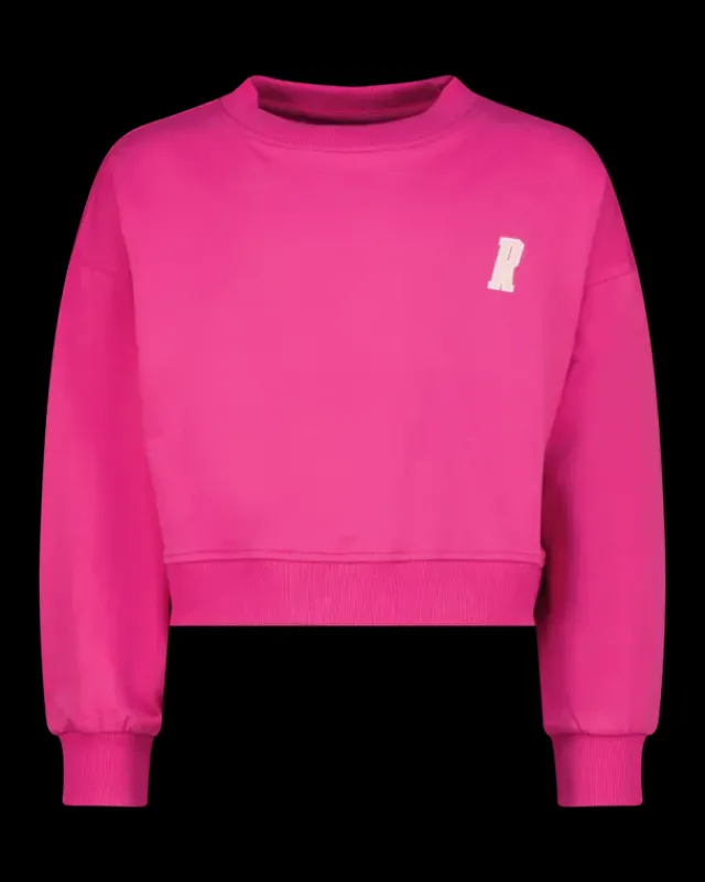 RAIZZED Hoodies En Truien<Sweater Rubin