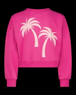 RAIZZED Hoodies En Truien<Sweater Rubin