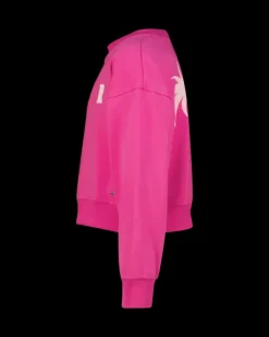 RAIZZED Hoodies En Truien<Sweater Rubin