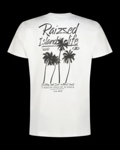 Heren RAIZZED T-shirts En Polo's<T-shirt Halm