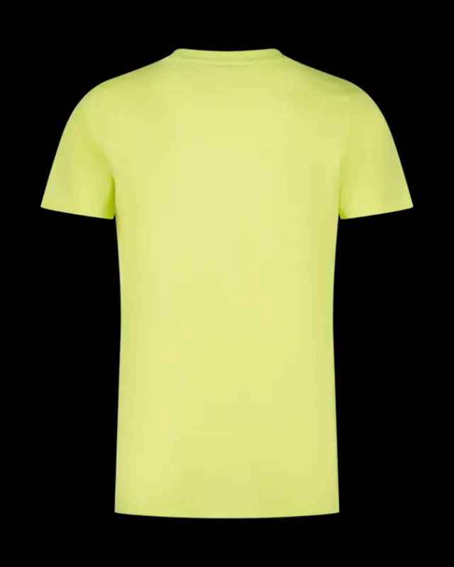 RAIZZED T-shirts En Polo's<T-shirt Harris