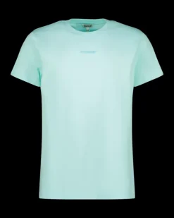 Heren RAIZZED T-shirts En Polo's<T-Shirt Hartwick