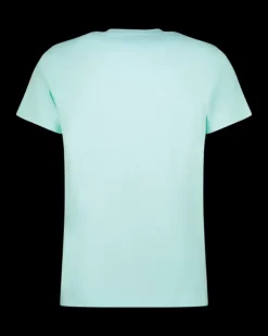 Heren RAIZZED T-shirts En Polo's<T-Shirt Hartwick