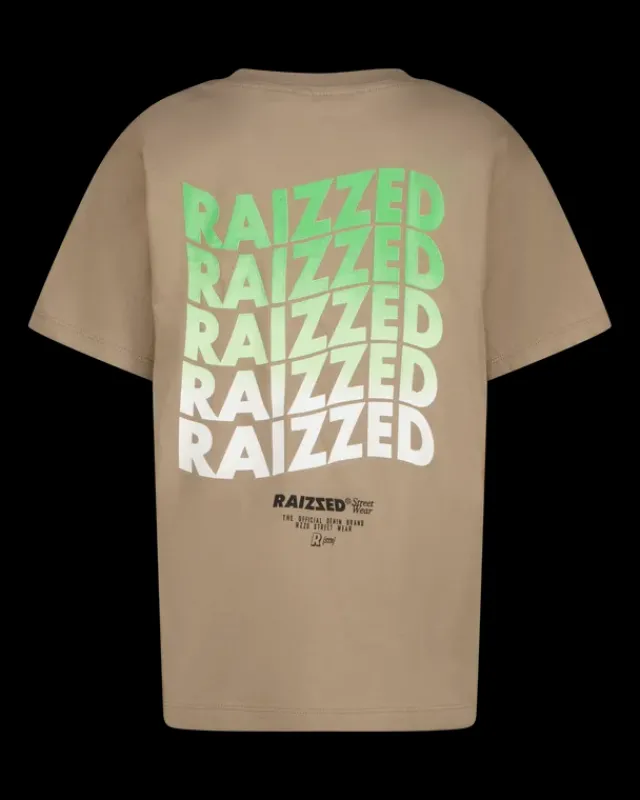 RAIZZED T-shirts En Polo's<T-shirt Haw