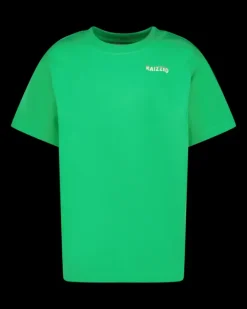 RAIZZED T-shirts En Polo's<T-shirt Haw