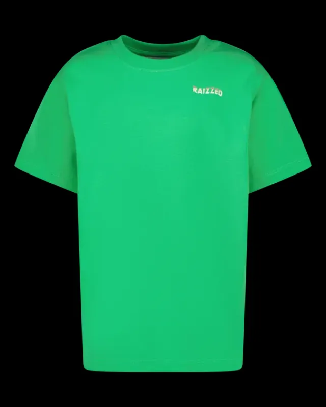 RAIZZED T-shirts En Polo's<T-shirt Haw