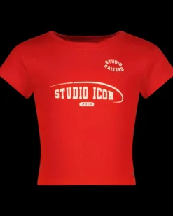 RAIZZED T-shirts En Tops<T-shirt Hela