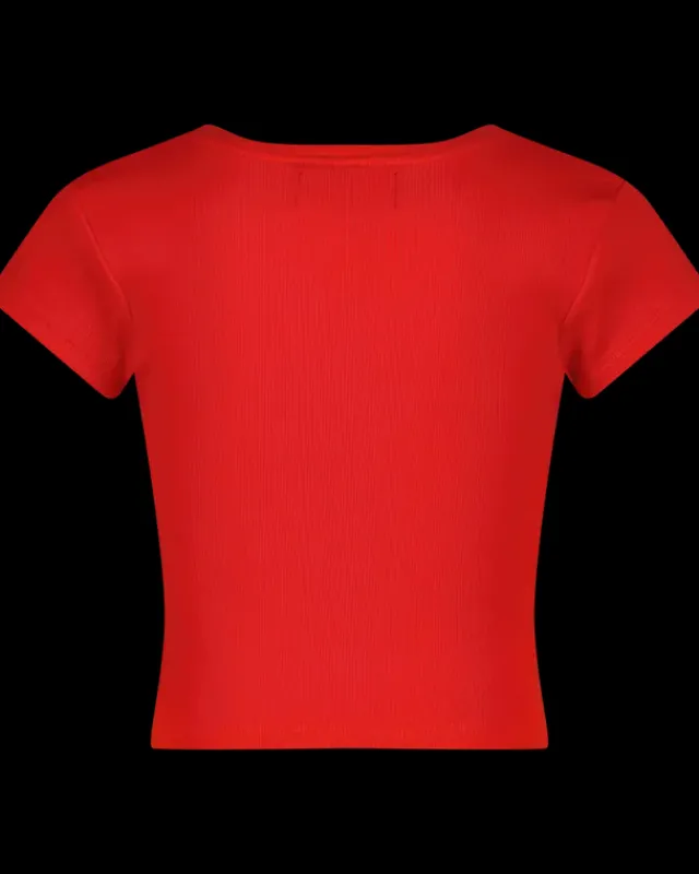 RAIZZED T-shirts En Tops<T-shirt Hela