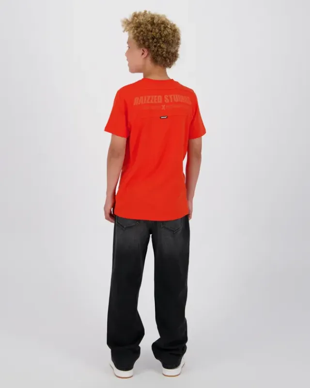 RAIZZED T-shirts En Polo's<T-Shirt Hogan