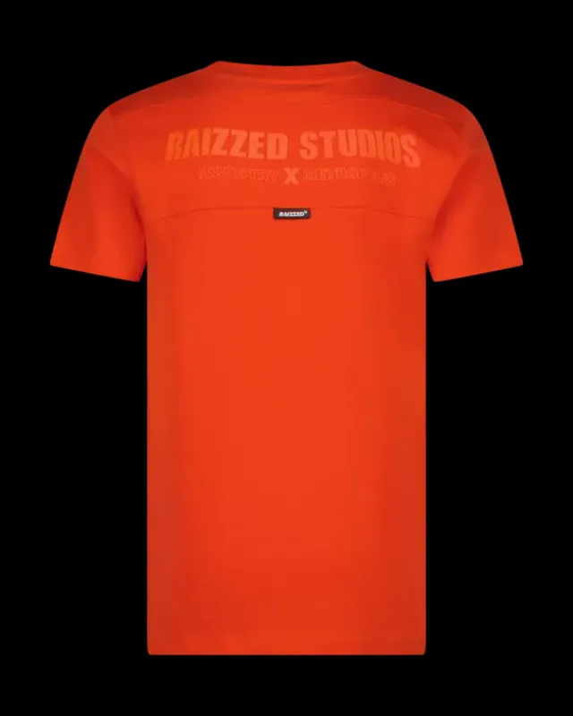 RAIZZED T-shirts En Polo's<T-Shirt Hogan