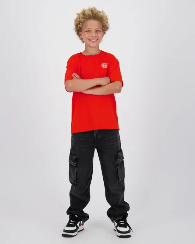 RAIZZED T-shirts En Polo's<T-shirt Howell