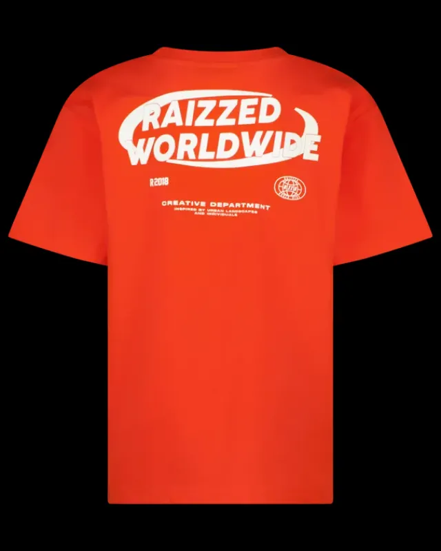 RAIZZED T-shirts En Polo's<T-shirt Howell