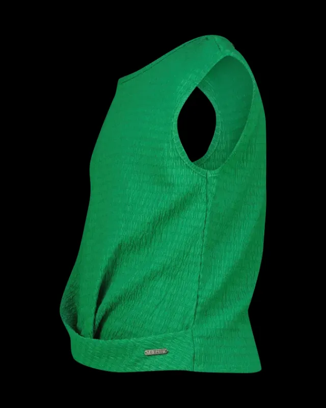 RAIZZED T-shirts En Tops<T-shirt Sela
